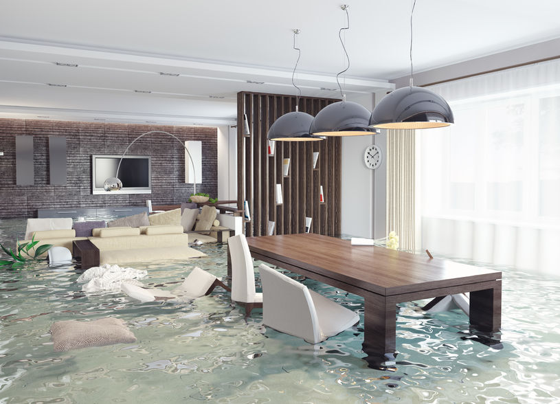 What Happens During the Water Damage Cleanup Process?