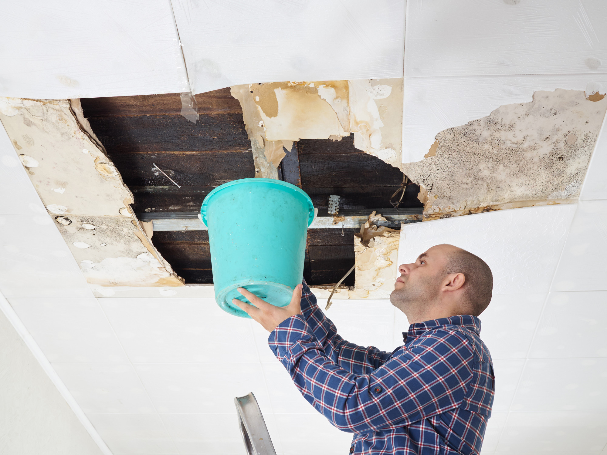 5 Benefits of Hiring a Water Damage Restoration Company for Homeowners