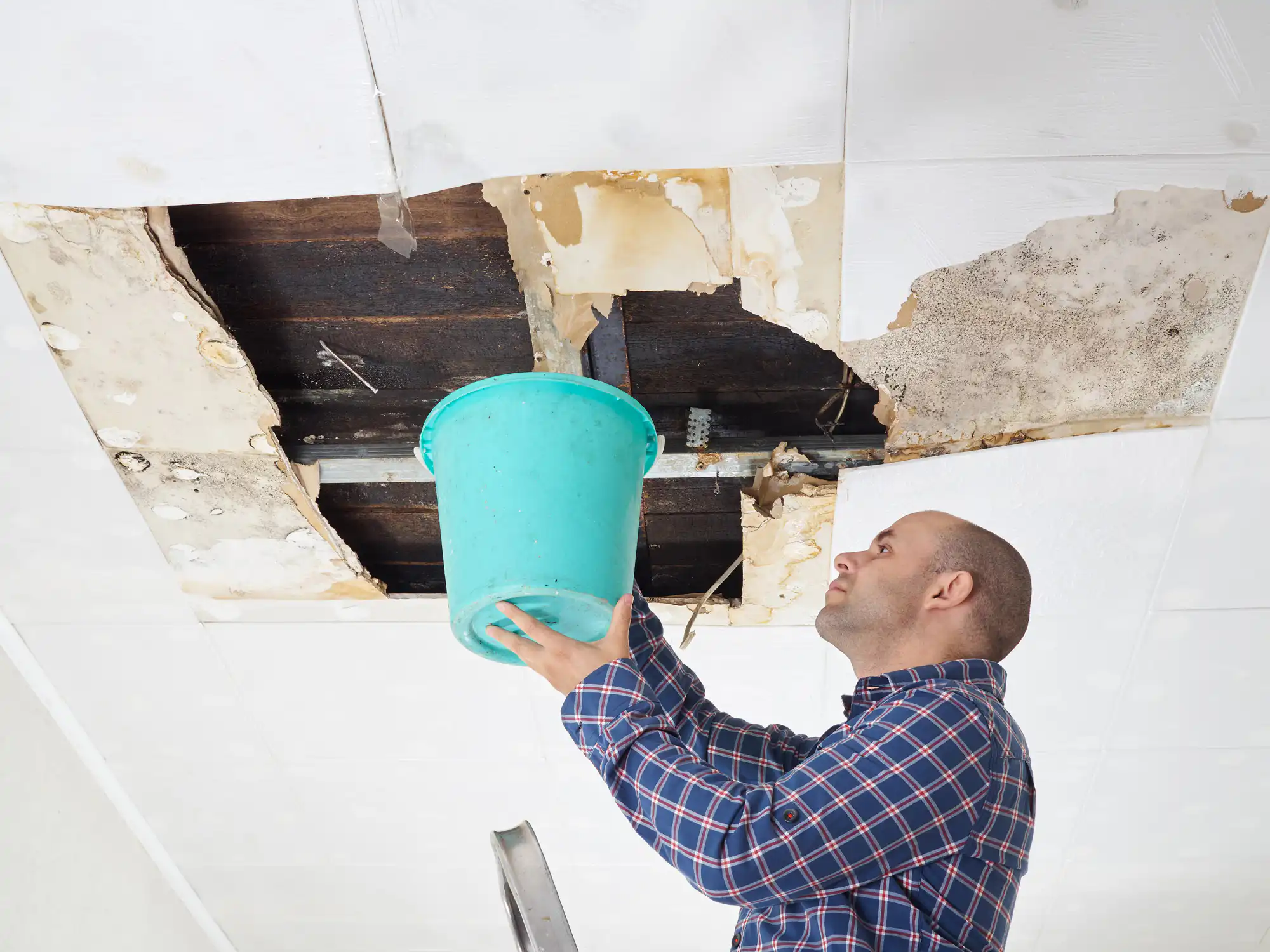 Hardwood Floor Water Damage: Can It Be Saved?