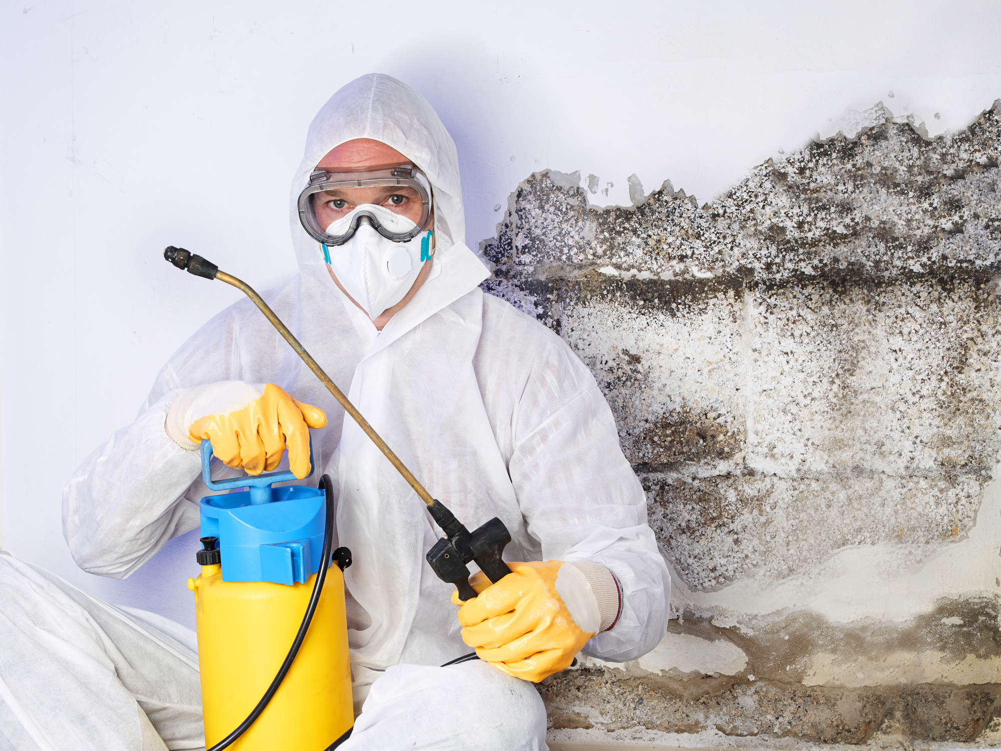 Where Hidden Mold Likes to Grow and How to Find It
