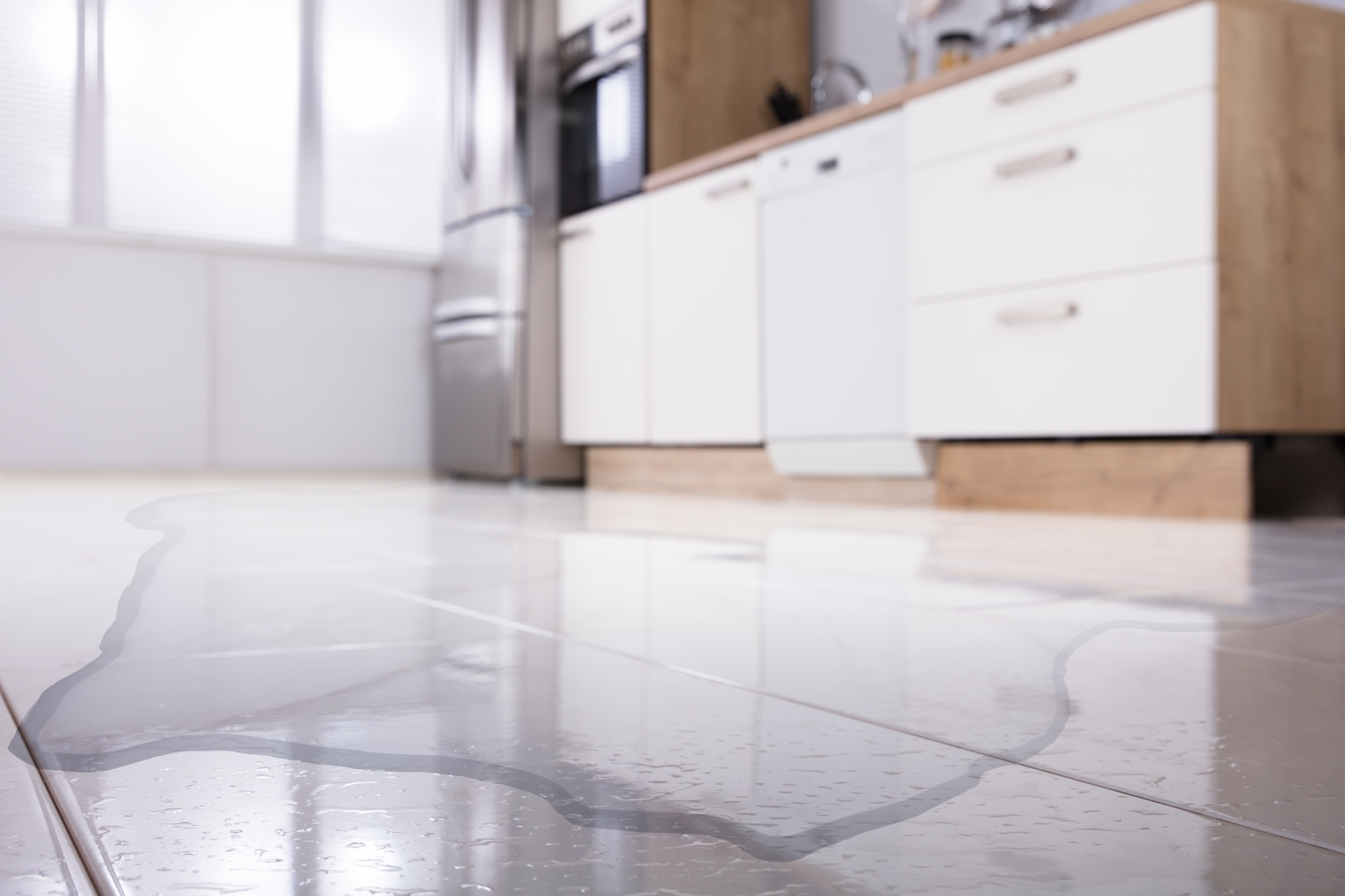 Drying and Dehumidification: The Science of Proper Restoration