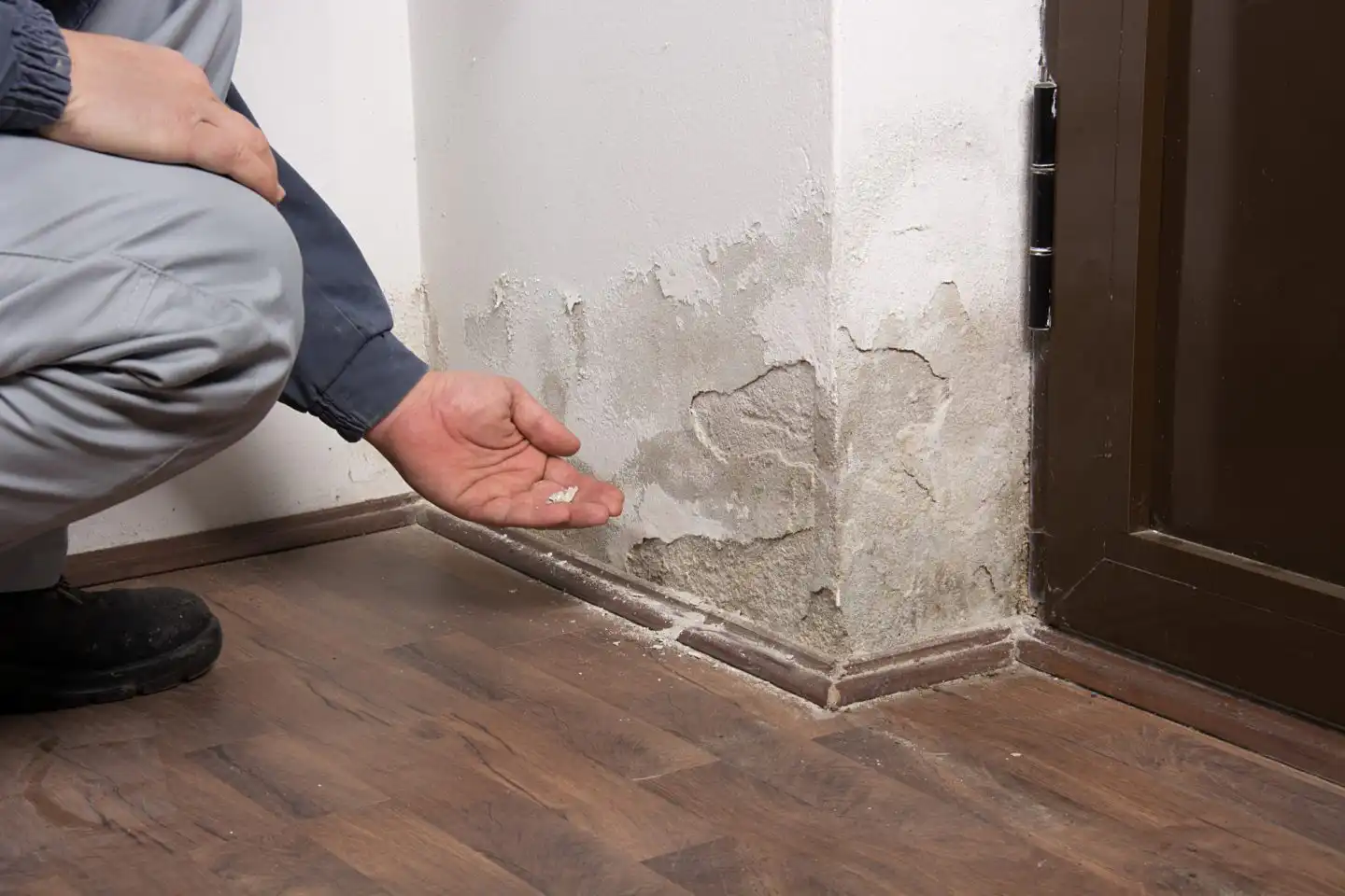 How Professional Leak Detection Saves You Thousands