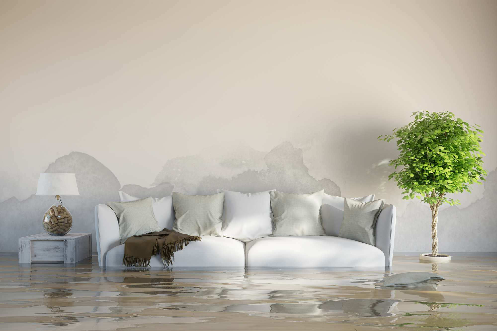 Ceiling Water Damage: Causes, Risks, and Repair