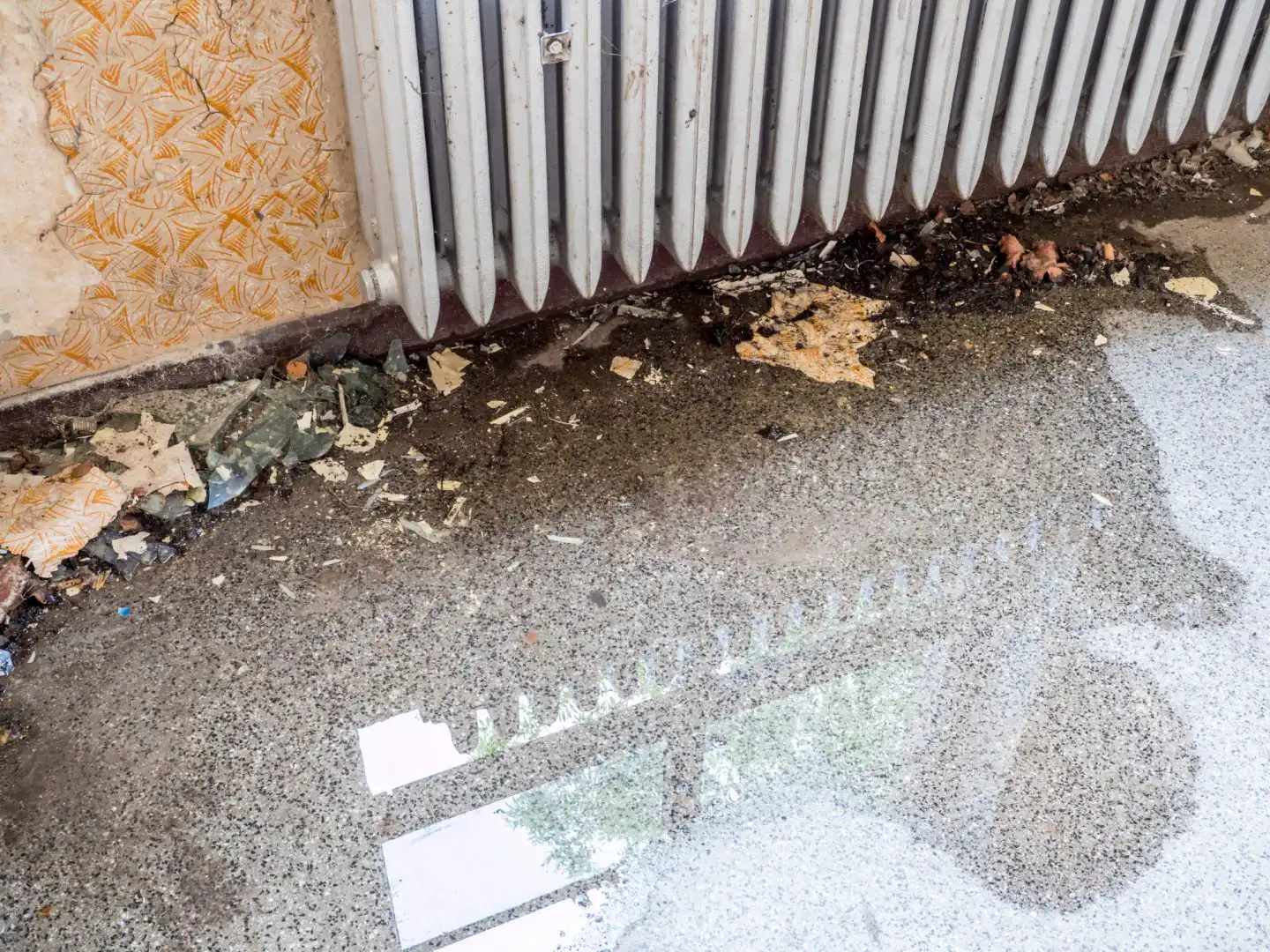Why San Diego’s Historic Neighborhoods Are Prone to Sewer Backups