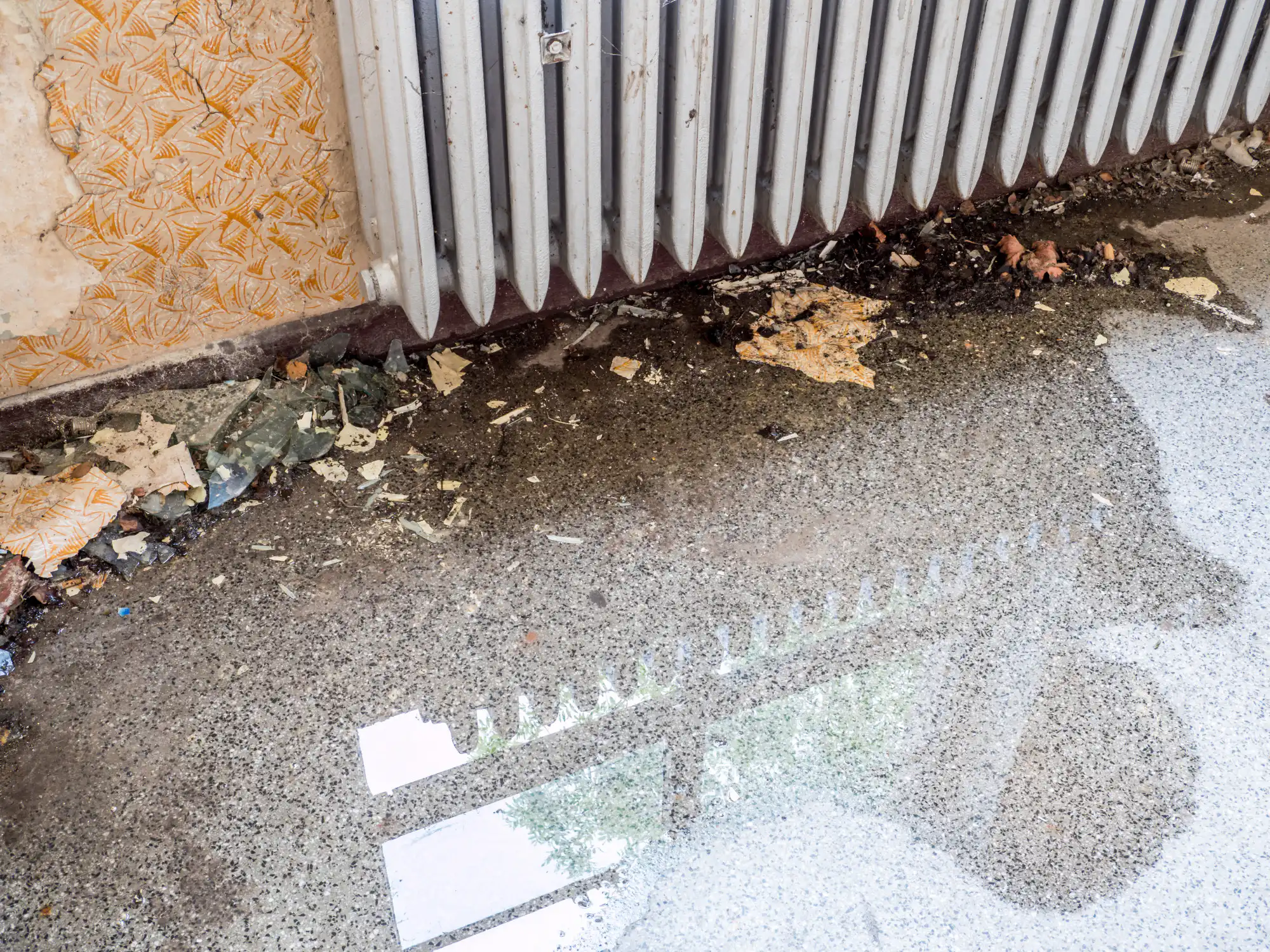 Burst Pipes: Prevention and Emergency Response