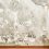 Is Black Mold Really Dangerous? Facts and Myths