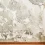 Is Black Mold Really Dangerous? Facts and Myths