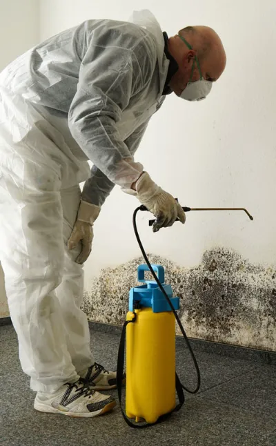 Mold damage removal and remediation