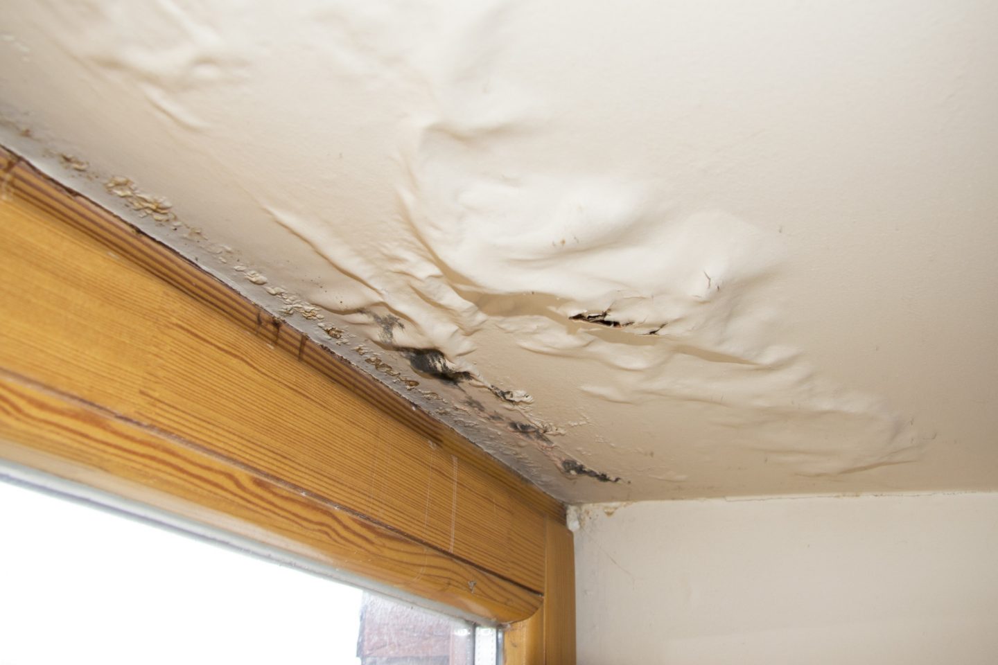 What to Expect From the Water Damage Cleanup Process